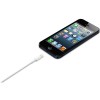 Apple Lightning to USB Cable MD818
