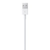 Apple Lightning to USB Cable MD818