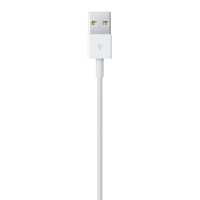 Apple Lightning to USB Cable MD818
