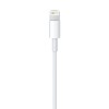 Apple Lightning to USB Cable MD818