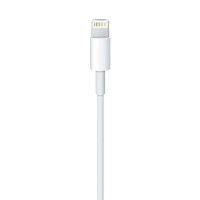 Apple Lightning to USB Cable MD818