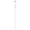 Кабель Apple USB-С/Lightning, длина 1м, MUQ93, Белый