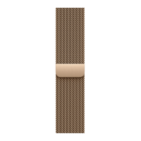 Apple Watch Series 11, 46mm, Slate Titanium Case with Gold Milanese Loop
