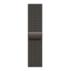 Apple Watch Series 11, 42mm, Slate Titanium Case with Slate Milanese Loop