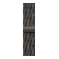 Apple Watch Series 11, 42mm, Slate Titanium Case with Slate Milanese Loop