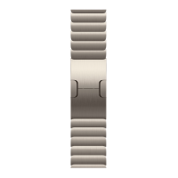 Apple Watch Series 11, 46mm, Natural Titanium Case with Natural Link Bracelet