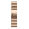 Apple Watch Series 11, 46mm, Slate Titanium Case with Gold Link Bracelet