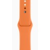 Apple Watch Hermes Series 10 46mm, Silver Titanium, Sport Band, M/L, Orange