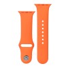 Apple Watch Hermes Series 10 46mm, Silver Titanium, Sport Band, M/L, Orange