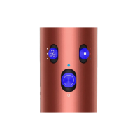 Стайлер Dyson Airwrap i.d. Long HS08 Straight+Wavy (Strawberry Bronze/Blush Pink), с кейсом