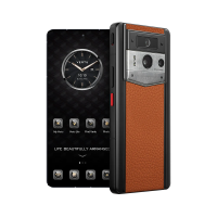 VERTU METAVERTU Web 3AI 2, 512Гб, Кожа телёнка| Серебро, «Оранжевый»