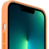 Чехол Silicone Case для iPhone 13 Pro, силикон, "оранжевый"