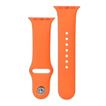 Apple Watch Hermes Series 10 46mm, Silver Titanium, Sport Band, M/L, Orange