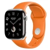 Apple Watch Hermes 11, 46mm, Silver, Kilim Single Tour Deployment Buckle, Gris 