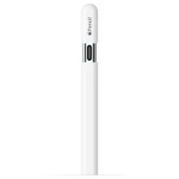 Стилус Apple Pencil [USB-C] (MUWA3)