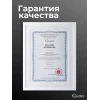 Защитное стекло для iPad Pro 13 [M4/M5]
