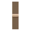 Apple Watch Series 11, 42mm, Gold Titanium Case with Gold Milanese Loop