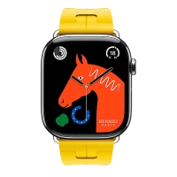Apple Watch Hermes 11, 42mm, Silver, Kilim Single Tour Deployment Buckle, Sun