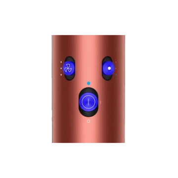Стайлер Dyson Airwrap Complete Long HS05 (Strawberry Bronze/Blush Pink), с кейсом