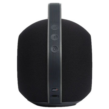 Портативная колонка Devialet Mania, Deep Black