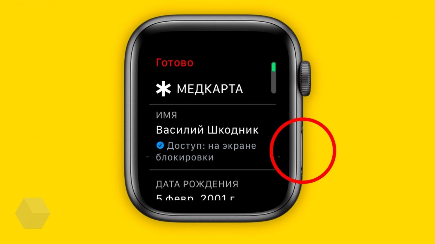 Медкарта Apple Watch
